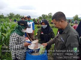 BPP Semin Prakarsai Gerakan Pengendalian (Gerdal) OPT Pada Tanaman Padi di 2 Kelompok